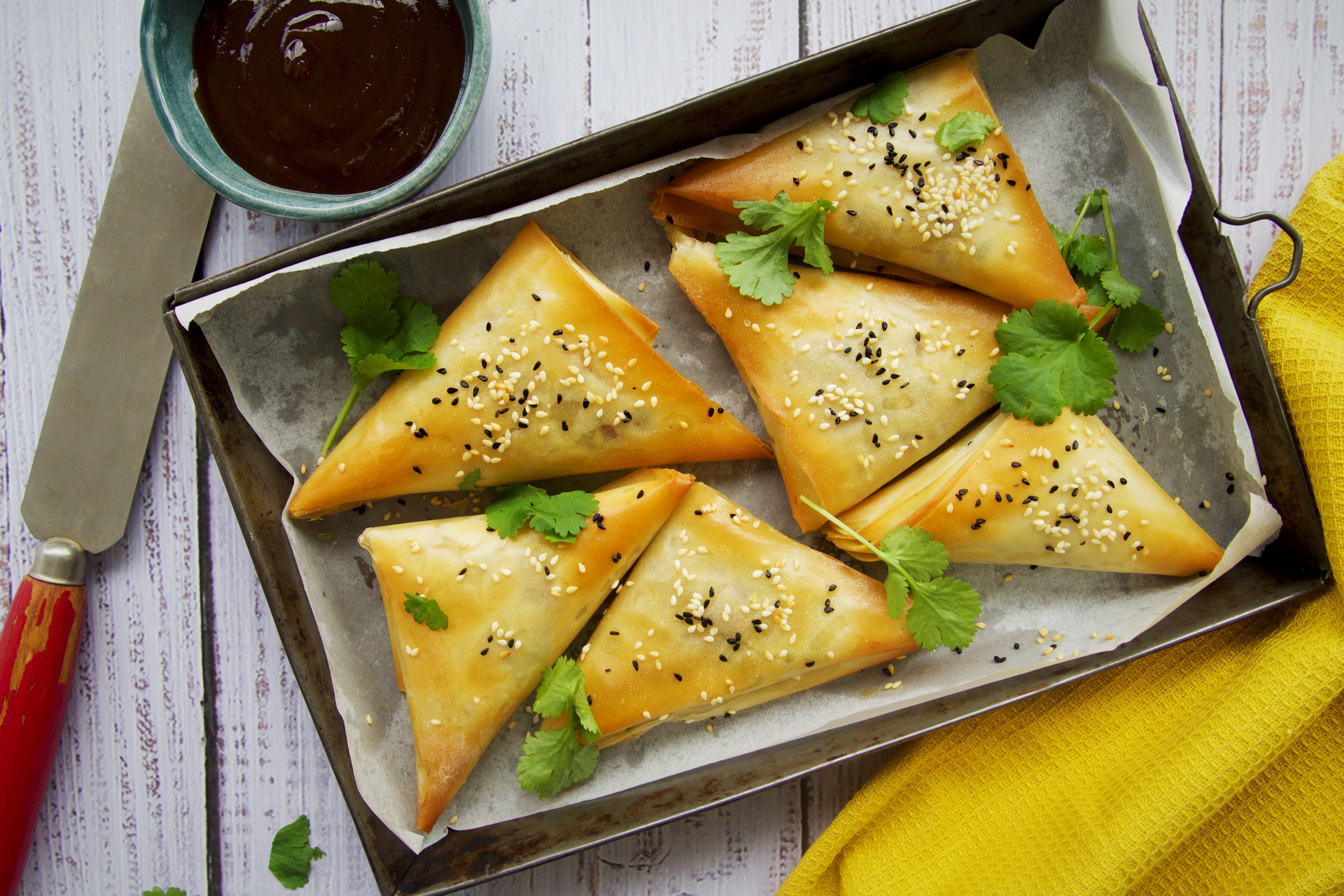 Easy Samosa
