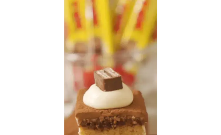 Nestlé Cake Decorating Series #1 Tex-Amisu Cake