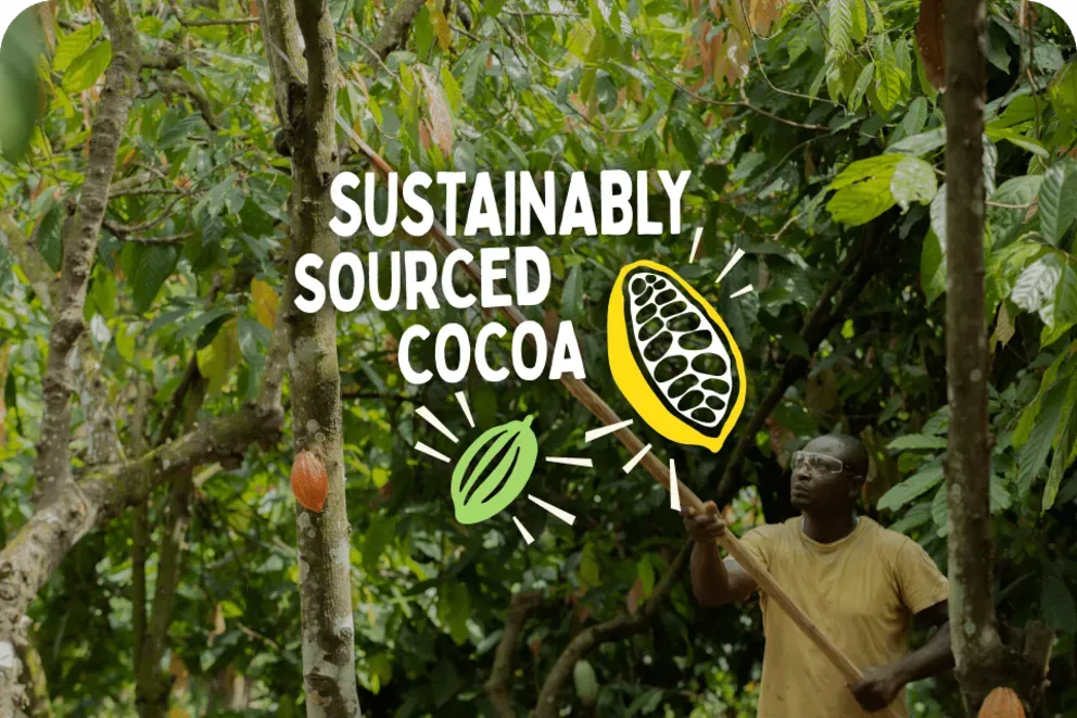 sustainable-cocoa-main-banner