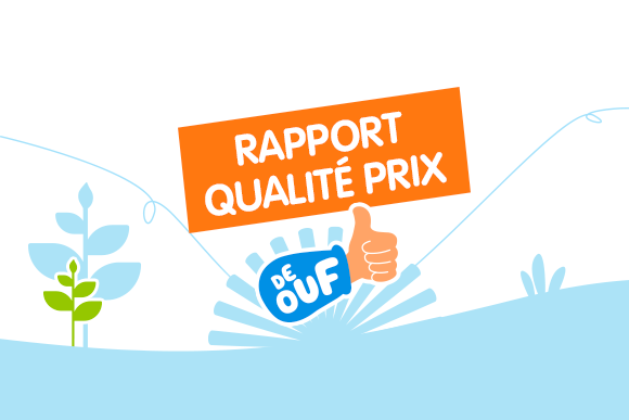 RAPPORT QUALITE