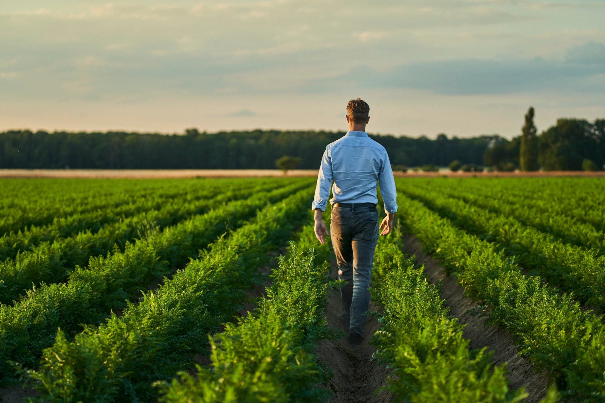 Découvrez les histoires des agriculteurs partenaires de MAGGI®