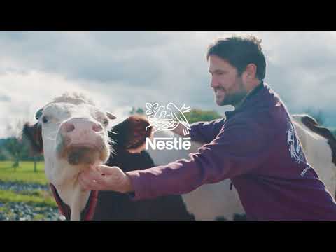 Preview image for the video "RICORÉ, découvrez le plan lait de Nestlé !".