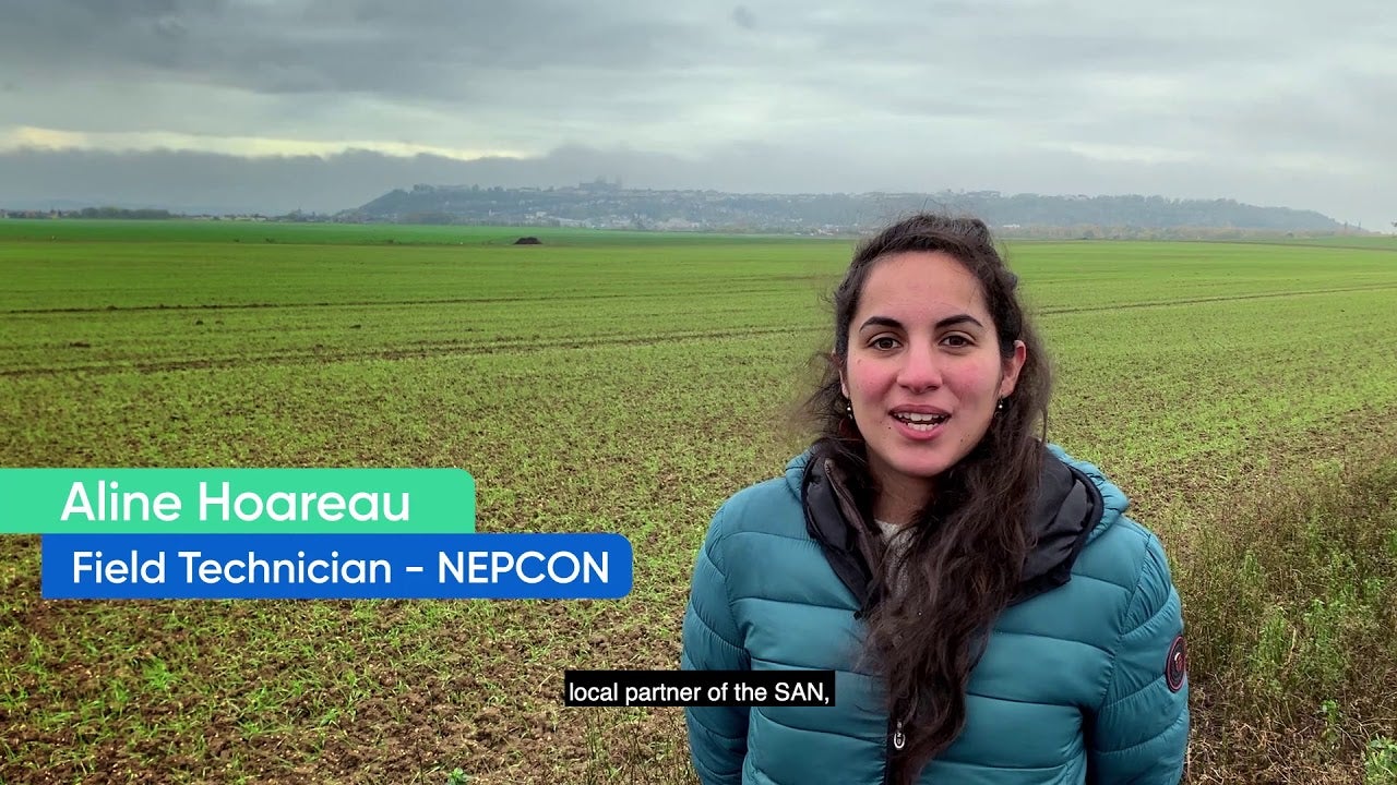 Preview image for the video "Creating Shared Value for onion producing farms in France (Sodeleg)".