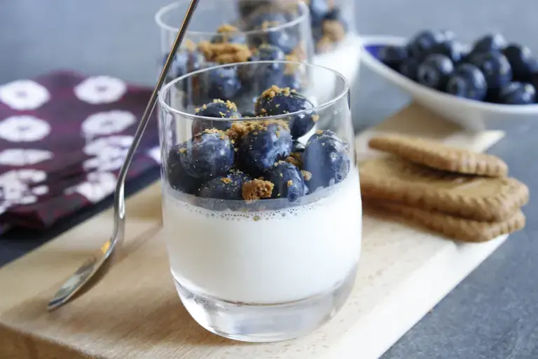 Panna cotta chocolat blanc myrtilles