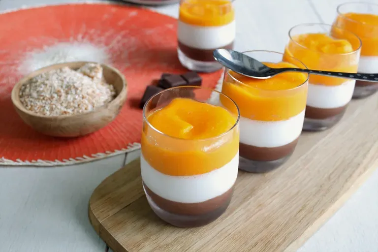 Panna cotta lait de coco mangue et chocolat noir bio