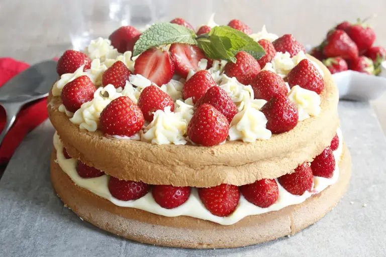 Fraisier chocolat blanc Companion