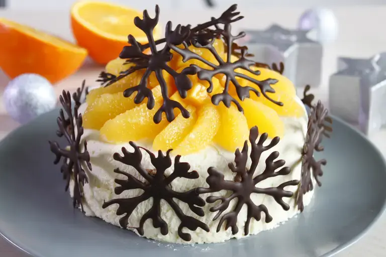 Gateau glacé chocolat blanc noix de coco et chocolat noir Absolu