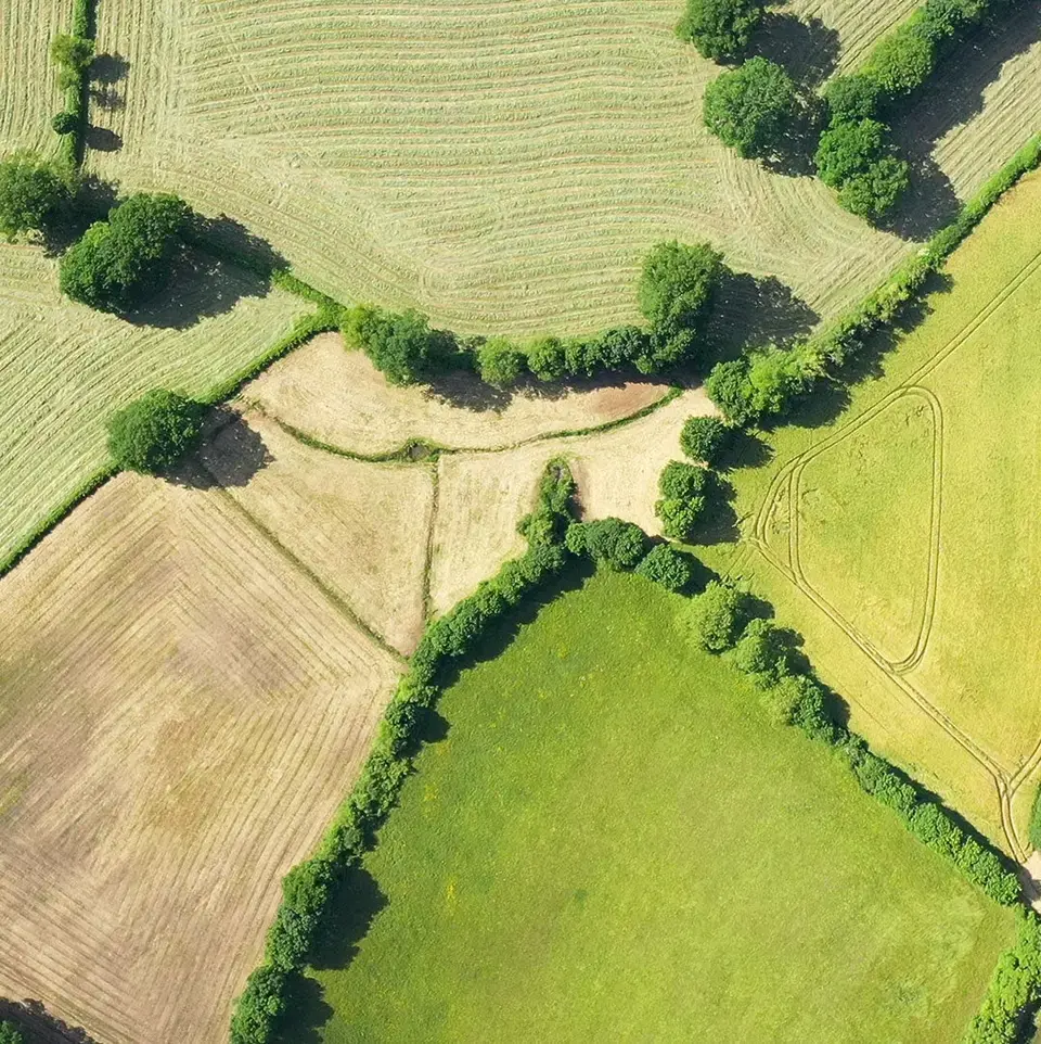 sustainability-card1