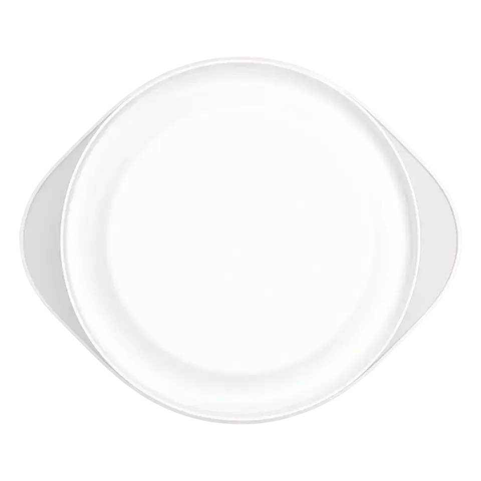 MAGGI BOLINO France Parmentier de bœuf 60g