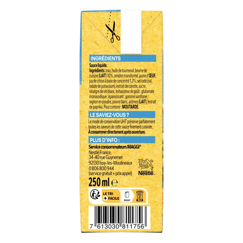 MAGGI MA SAUCE FINE Hollandaise Tetra 12x250ml FR