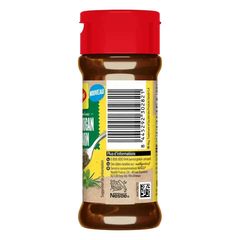 MAGGI Assaisonnement Poudre Ail Bottle 8x60g FR