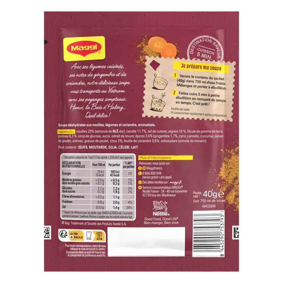 MAGGI Soup Vietnamese Pouch 14x40g FR