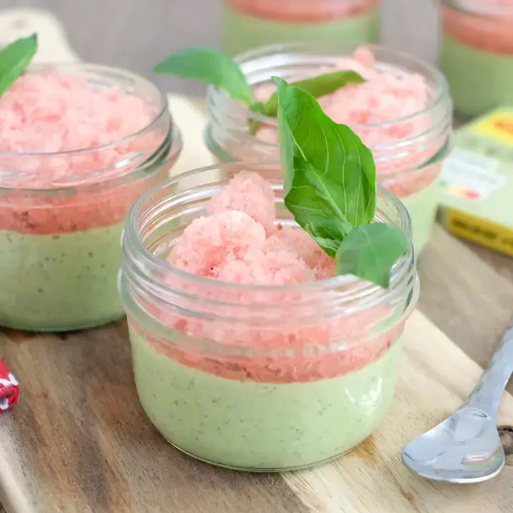 Panna cotta courgette granité de pastèque