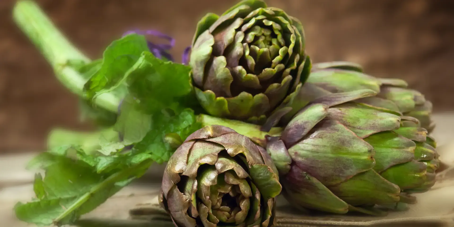 artichauts