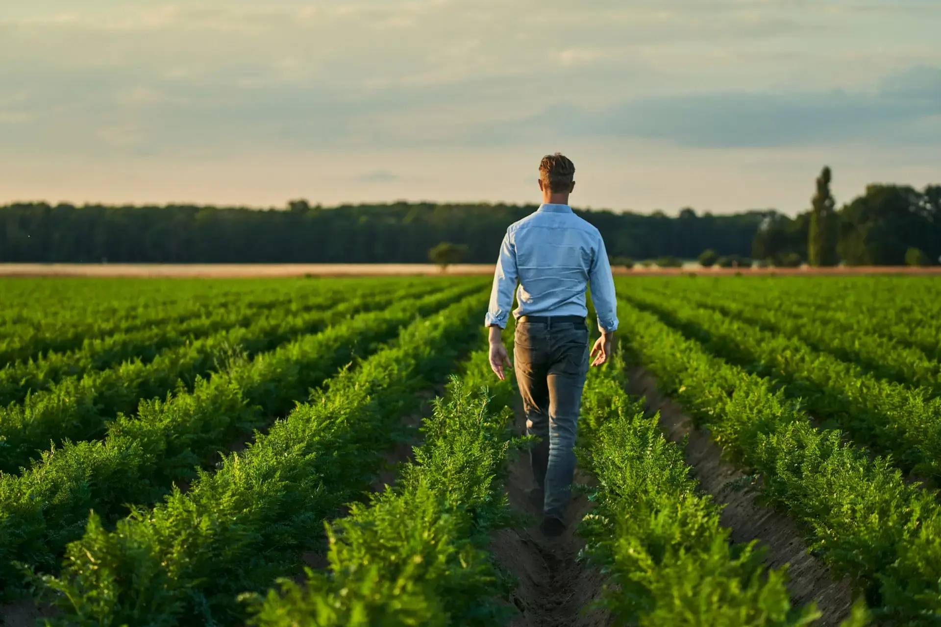 Découvrez les histoires des agriculteurs partenaires de MAGGI®