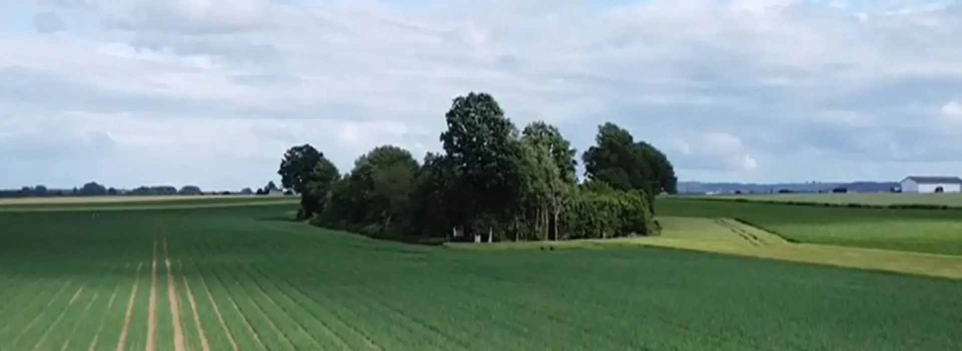 La biodiversité dans le sol