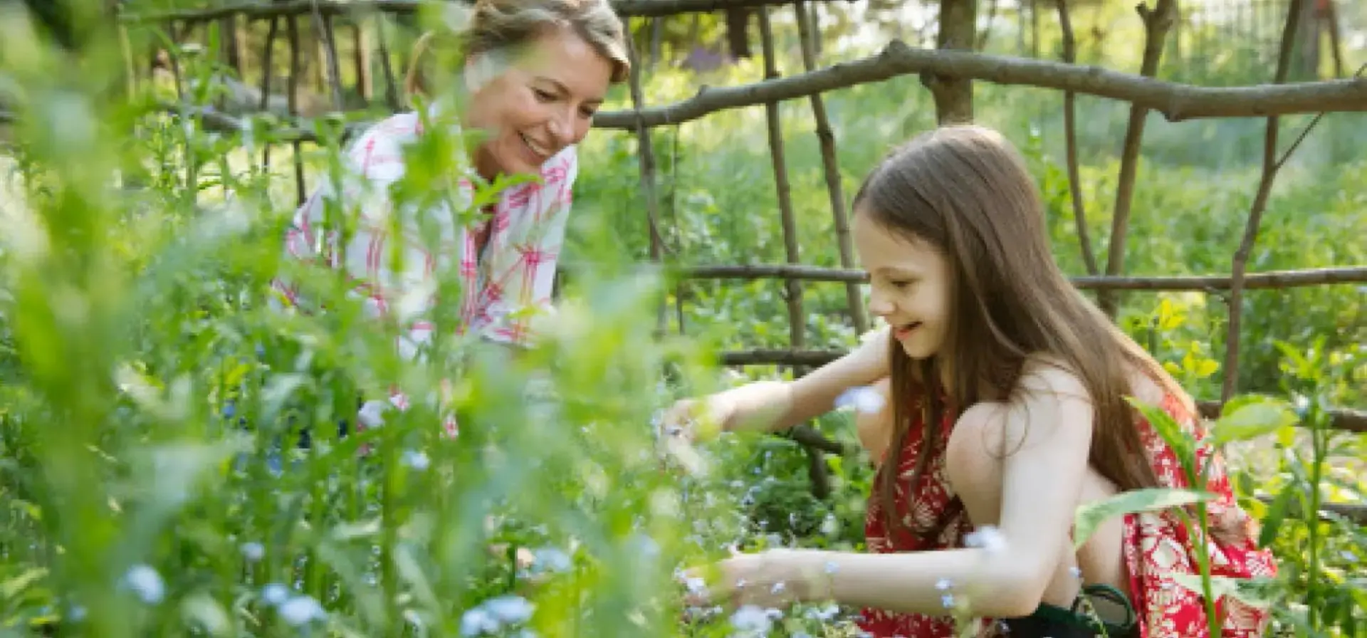 mecredi_choco_dossier_mai_atelier_header