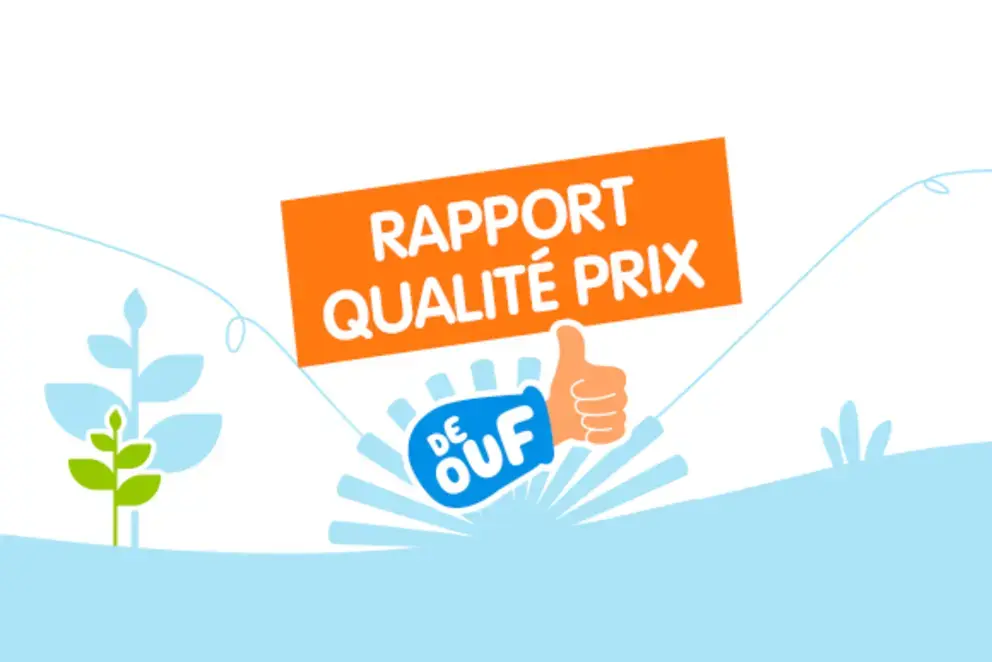 RAPPORT QUALITE