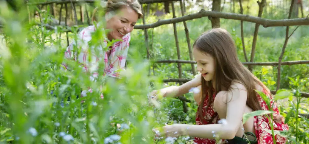 Atelier planter fraises maison