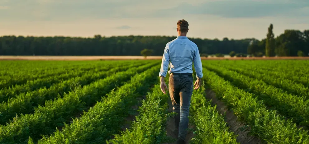 Découvrez les histoires des agriculteurs partenaires de MAGGI®