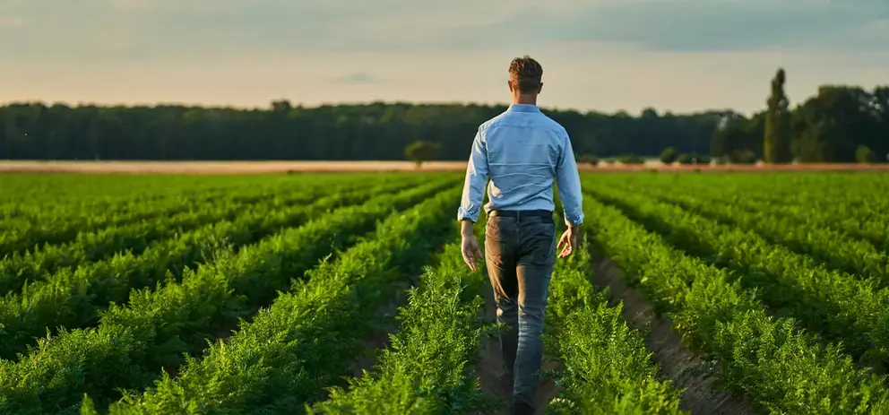 Découvrez les histoires des agriculteurs partenaires de MAGGI®