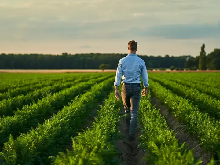 Découvrez les histoires des agriculteurs partenaires de MAGGI®