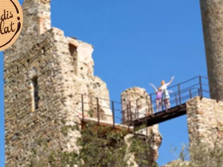 Idées de sorties - Visites château