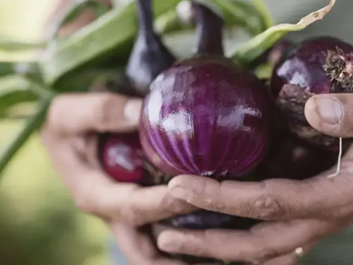 DES INGRÉDIENTS SOIGNEUSEMENT SÉLECTIONNÉS