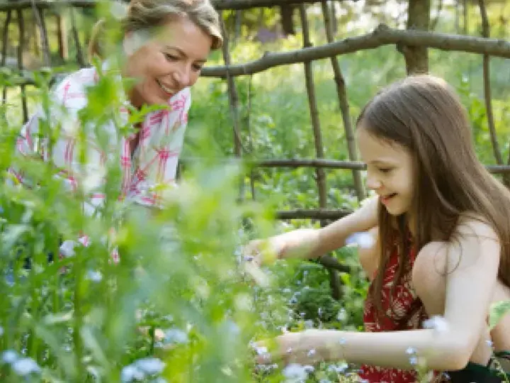 mecredi_choco_dossier_mai_atelier_header