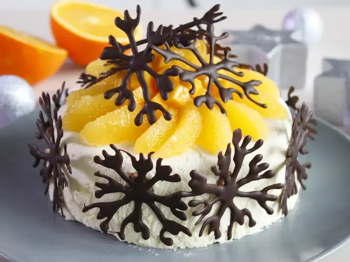 Gateau glacé chocolat blanc noix de coco et chocolat noir Absolu