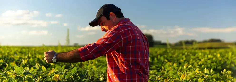 Semer la graine du changement