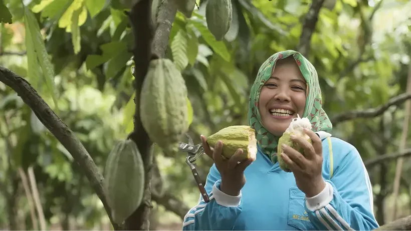 KitKat Nestlé Cocoa Plan