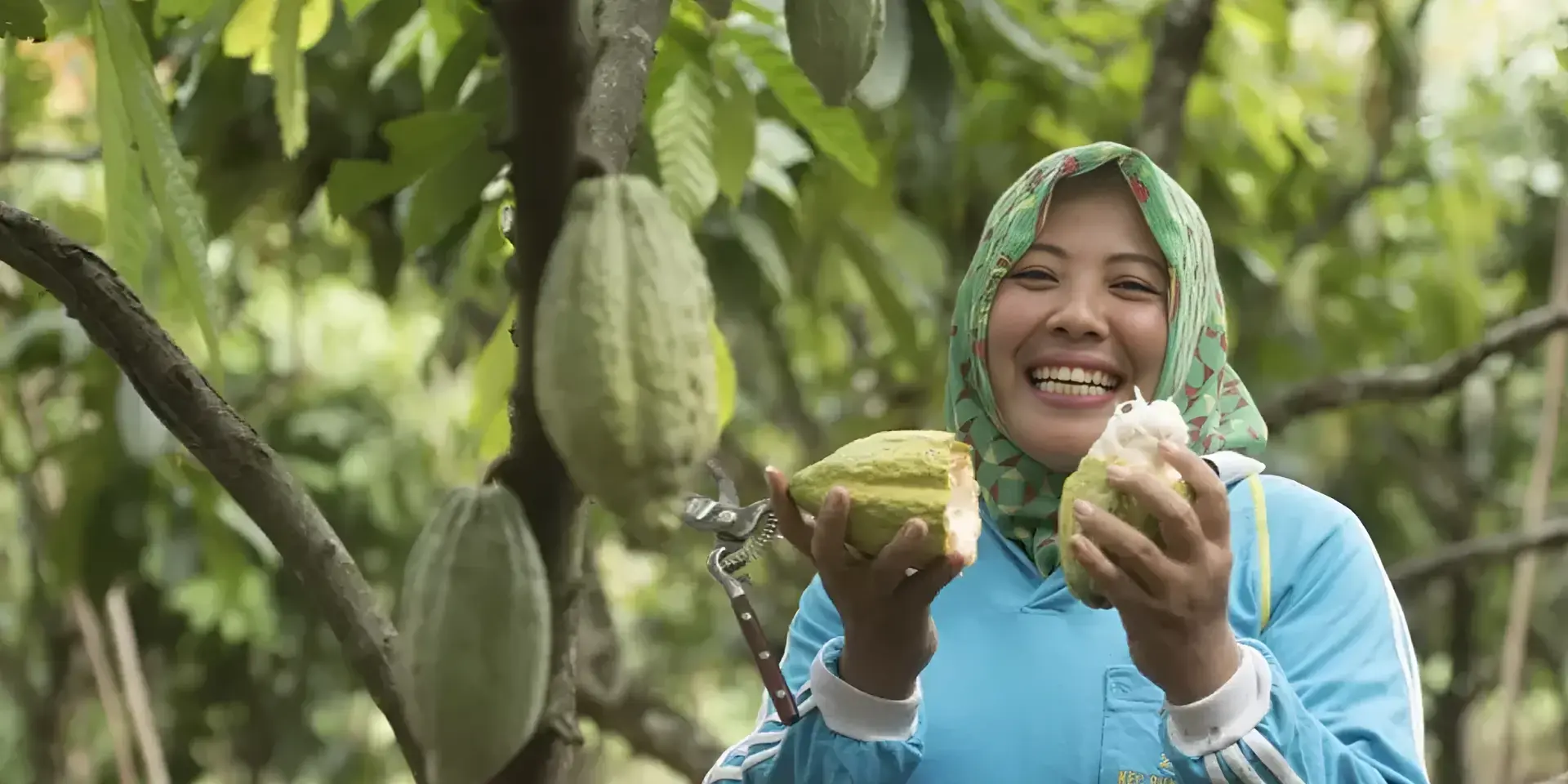 KitKat Nestlé Cocoa Plan