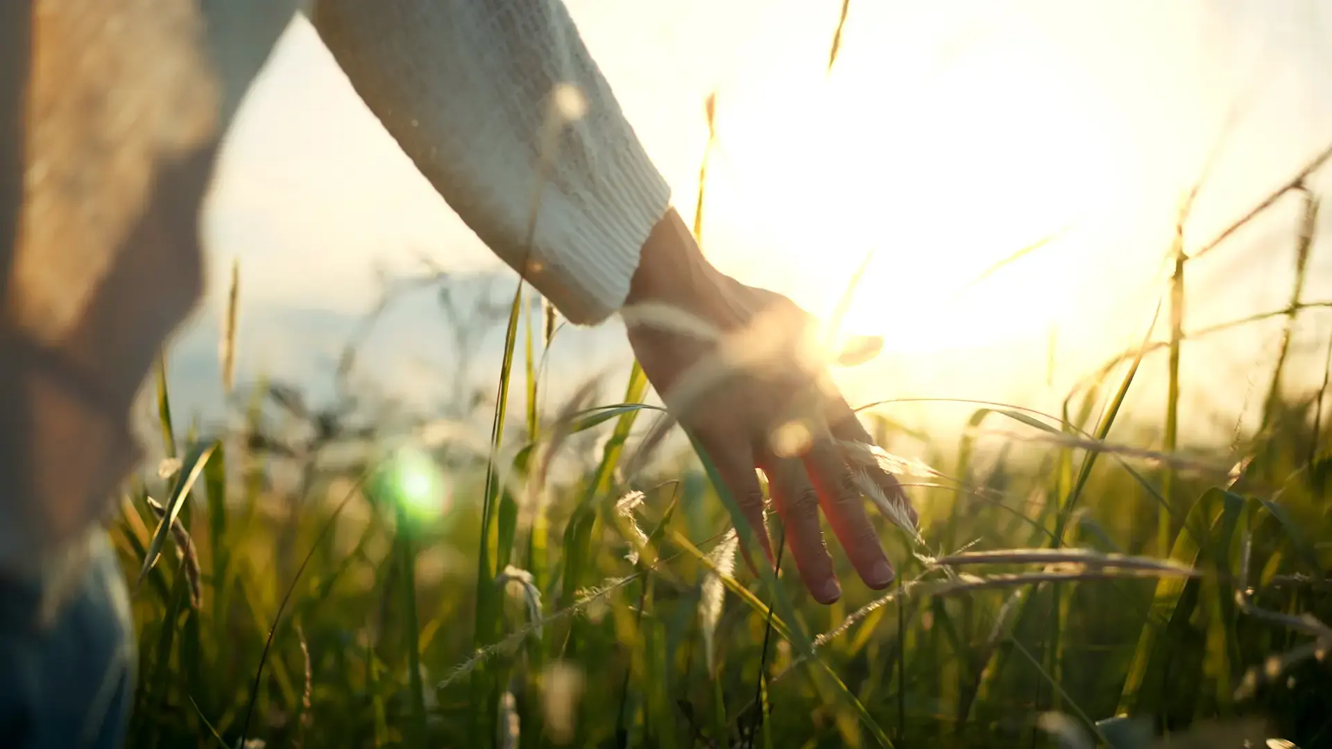 Hand-of-traveling-woman-touching-meadow-in-the-rays