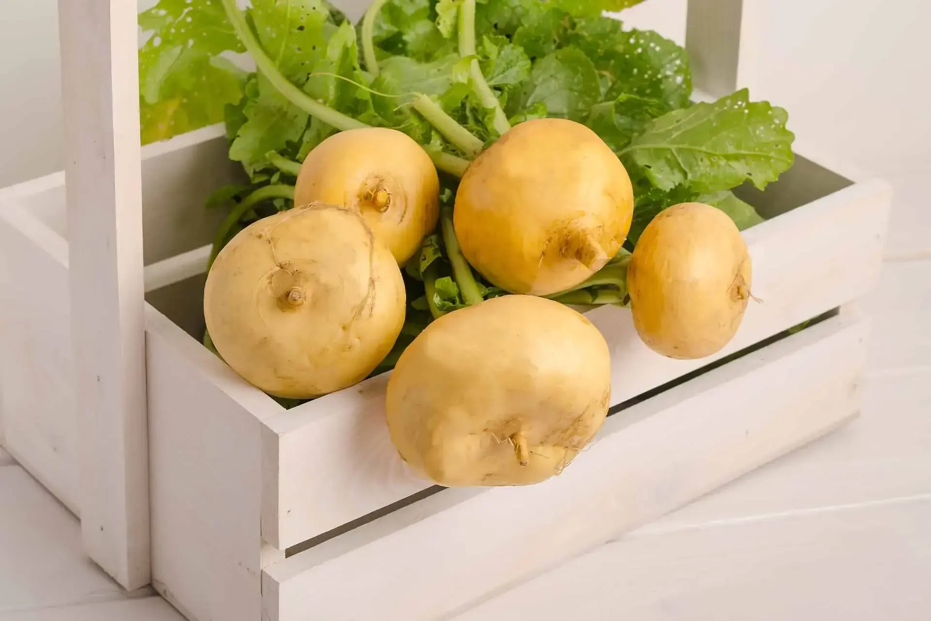 Singkamas Simplified