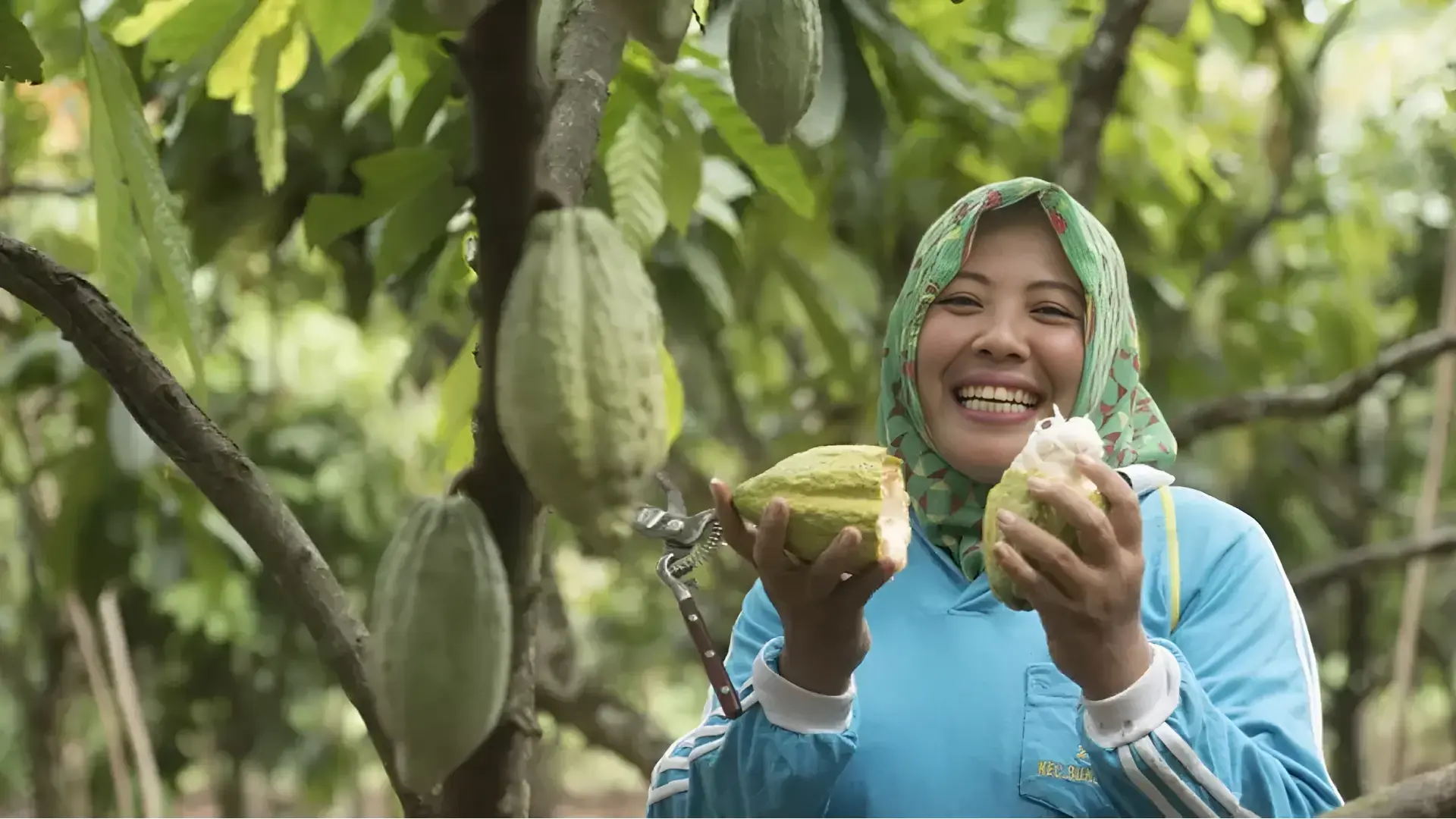 KitKat Nestlé Cocoa Plan