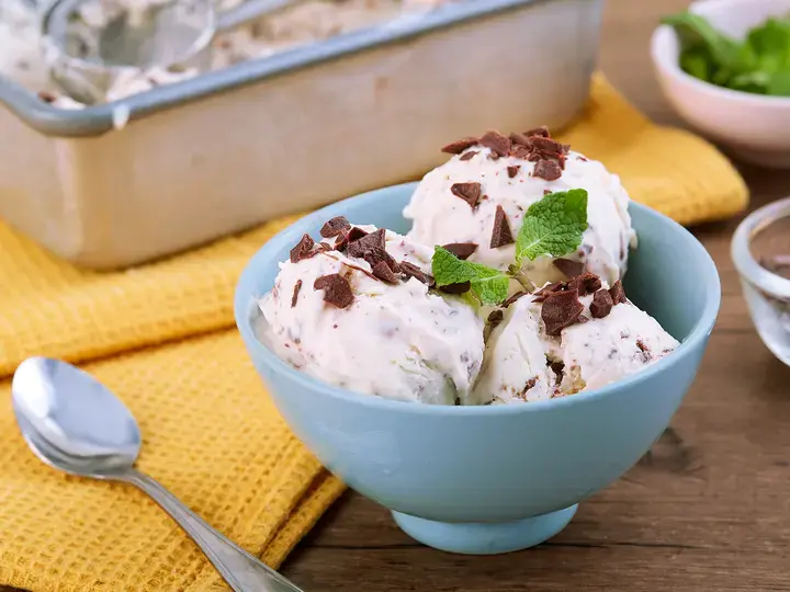 Creamy Mint Chocolate Chip Ice Cream