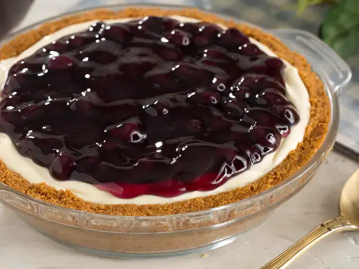 Blueberry Cheesecake big serving