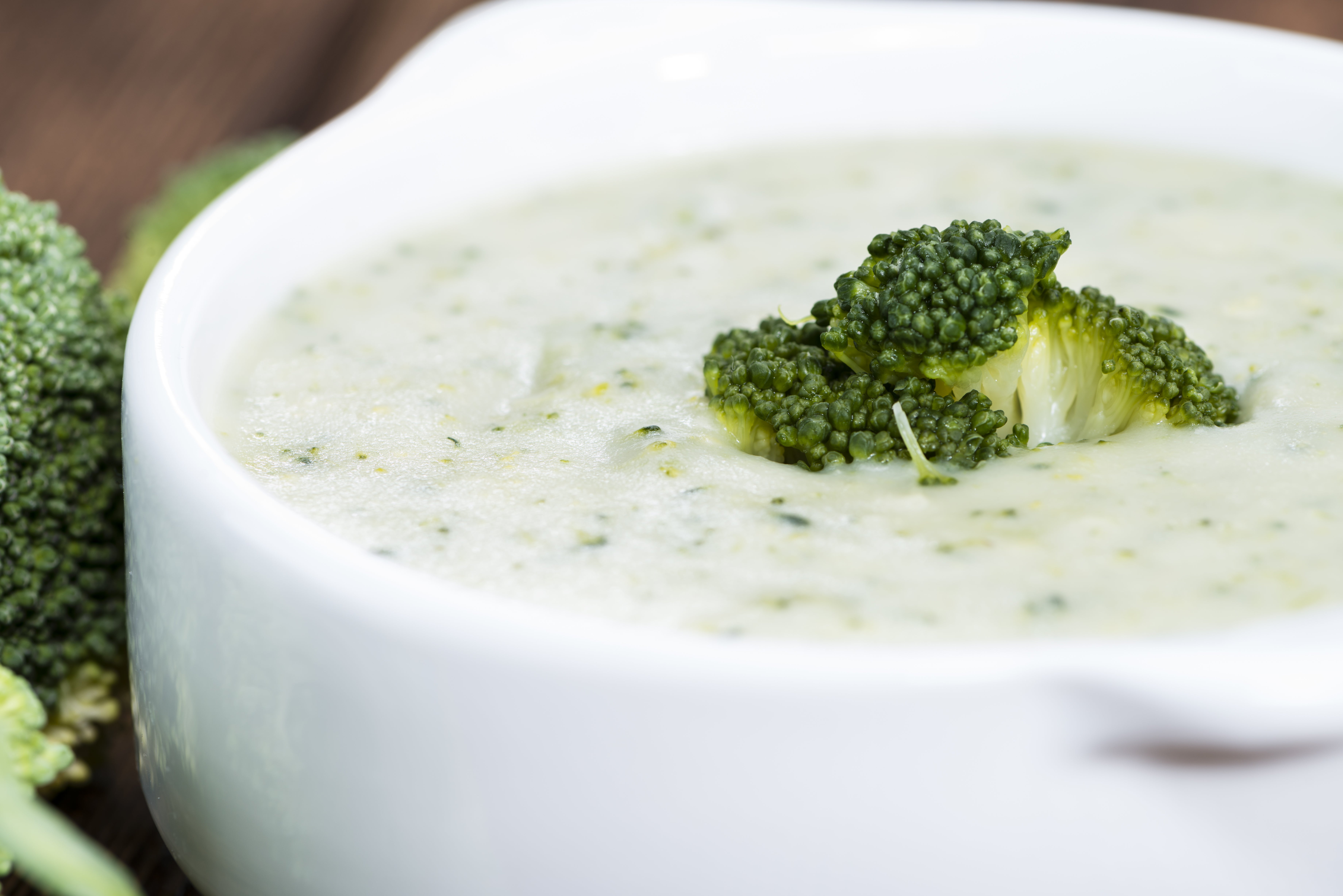 cream of broccoli soup