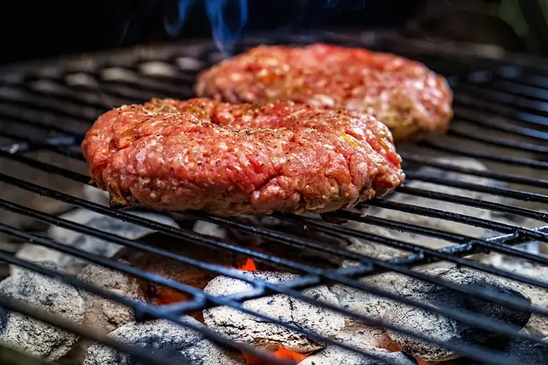 Chicken mince patties