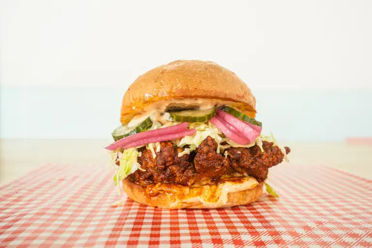 Juicy Chicken Burgers