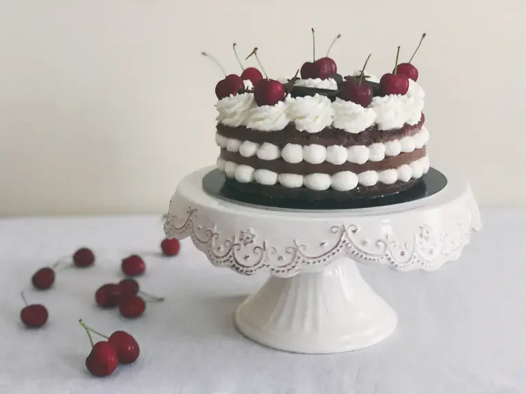 Chocolate Cream Cake