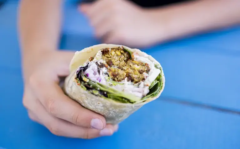 hummus vege wrap