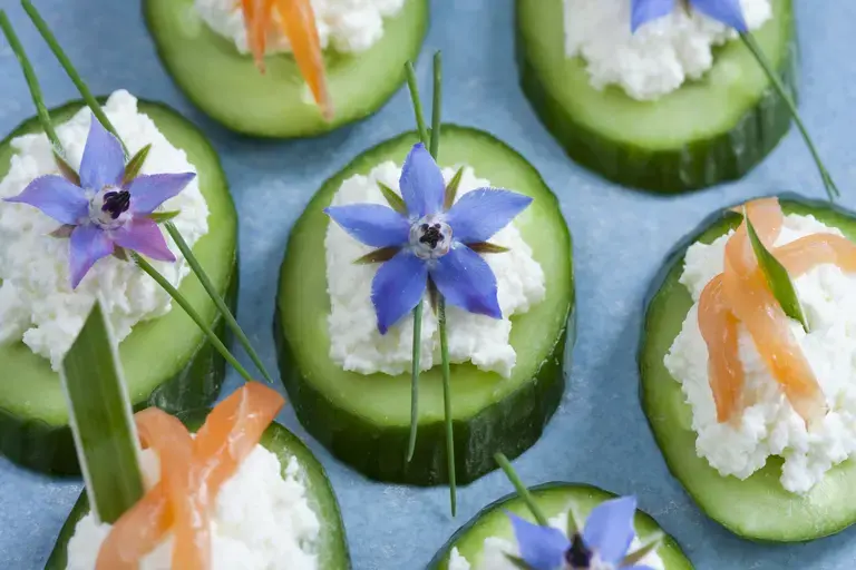 Cucumber and cottage cheese snack