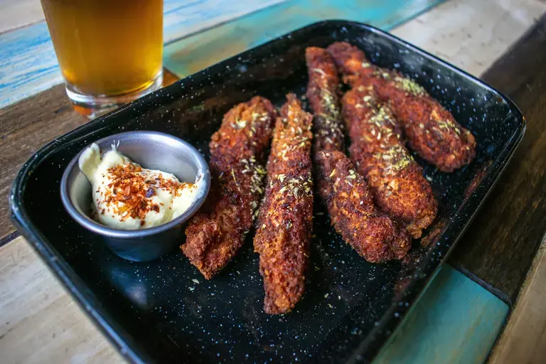 tex mex chicken strips