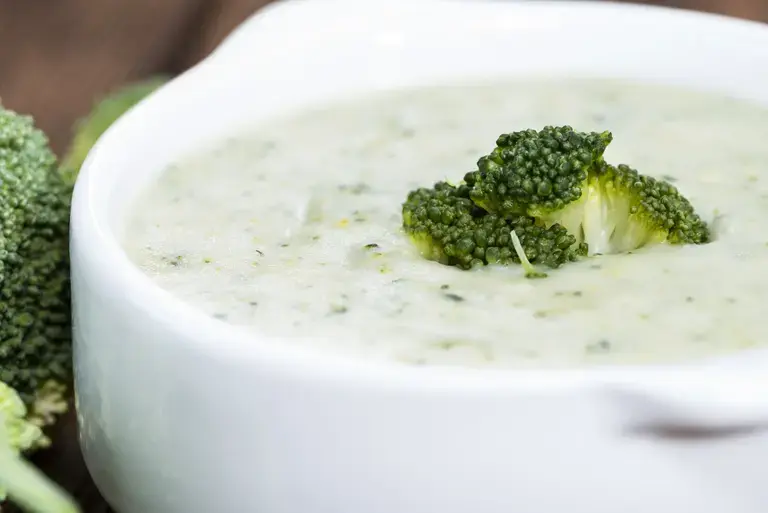 cream of broccoli soup