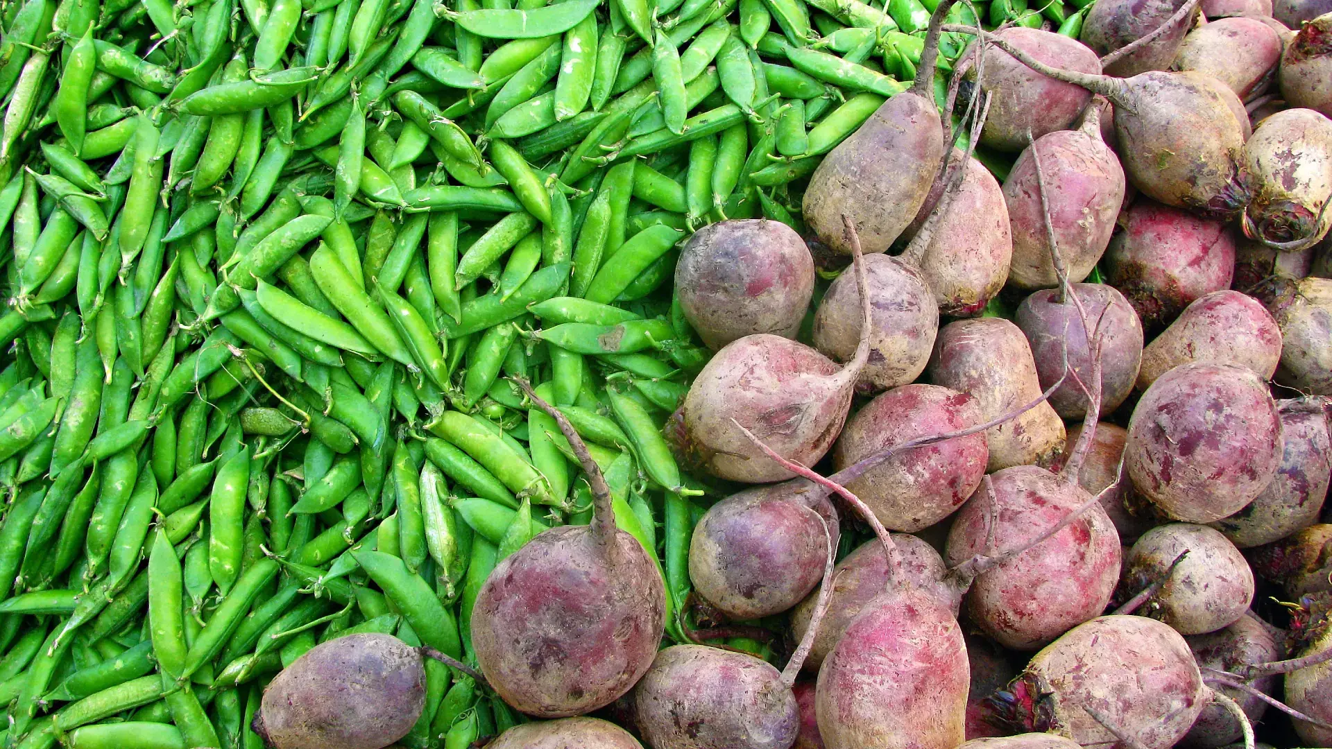 Shop Smart, Eat Happy!