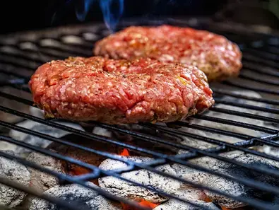 Chicken mince patties