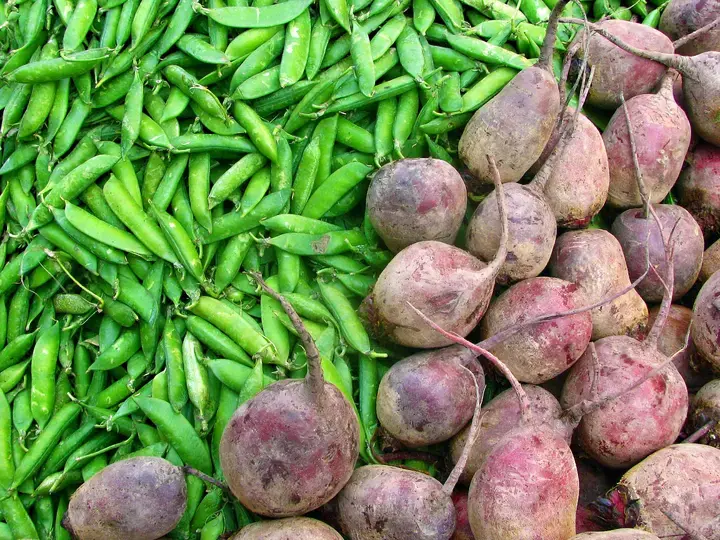 Shop Smart, Eat Happy!