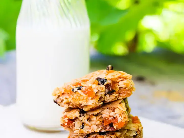 Chewy Oatmeal Raisin Granola Bars